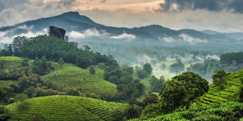 Coorg